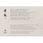 Водный камень Suehiro, серия Maido, 10 000 грит, 206x73x23мм