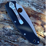 Складной нож Spyderco Resilience