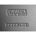 Чугунный противень IWACHU 28 х 24см